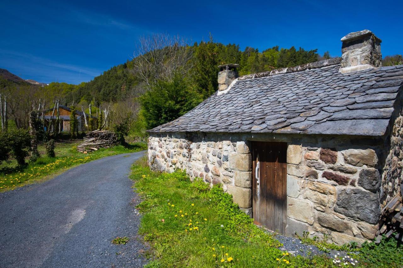 La Dormeuse Du Val Villa Chambon-sur-Lac Luaran gambar