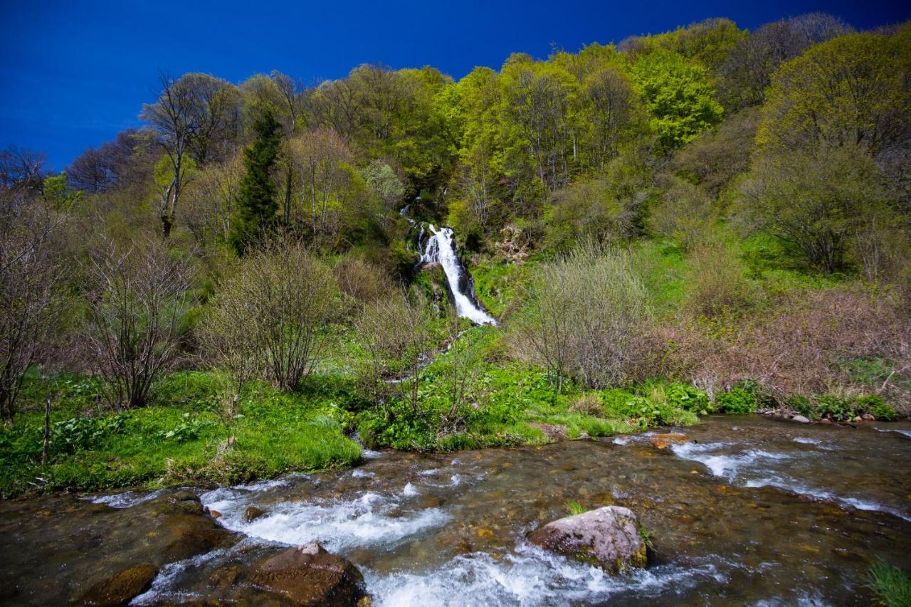 La Dormeuse Du Val Villa Chambon-sur-Lac Luaran gambar
